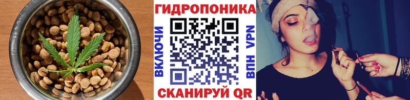 где можно купить наркотик Елизово Cannafood конопля