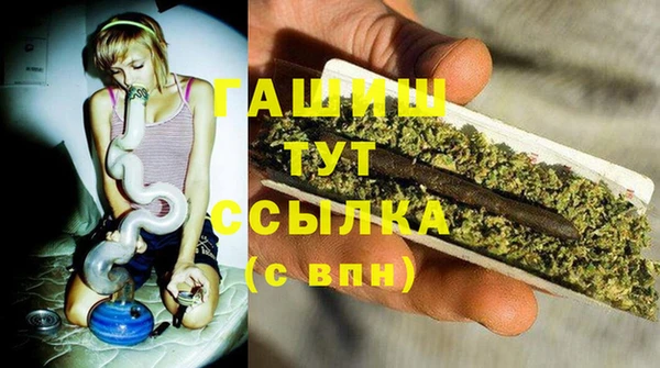 сатива Белокуриха