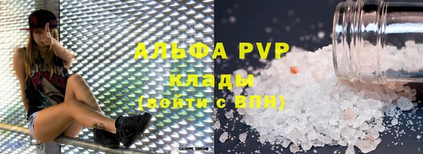 сатива Белокуриха