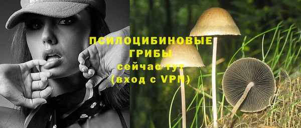 хмурый Балабаново