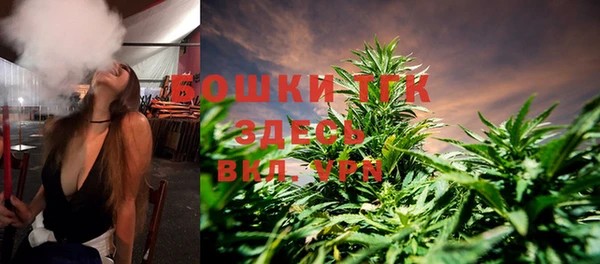 ГАЛЛЮЦИНОГЕННЫЕ ГРИБЫ Балахна