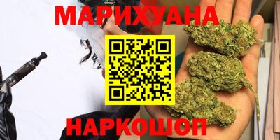 сатива Беслан
