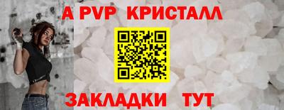 сатива Беслан