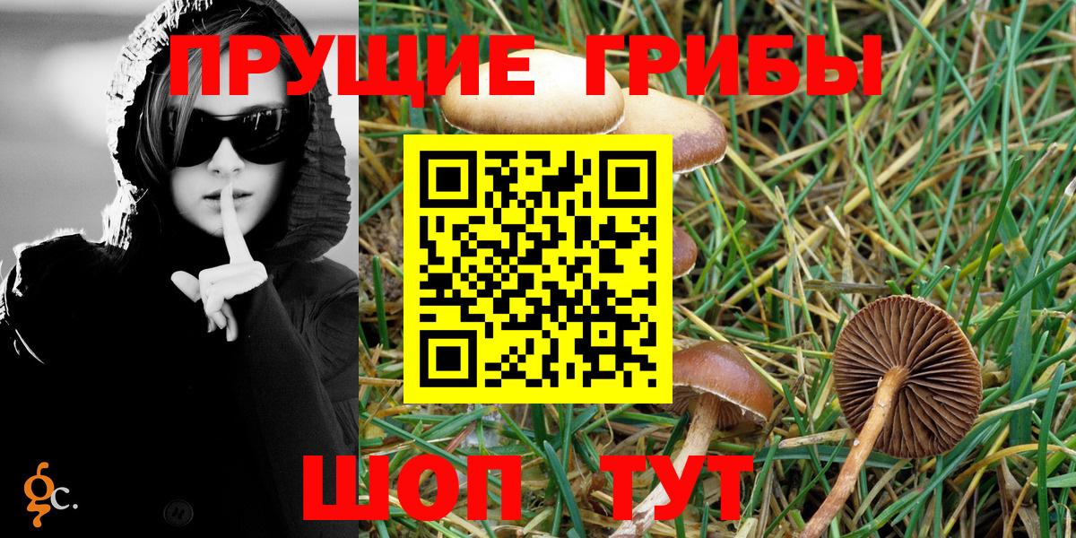 Псилоцибиновые грибы Psilocybine cubensis  Вход с VPN  Елизово 