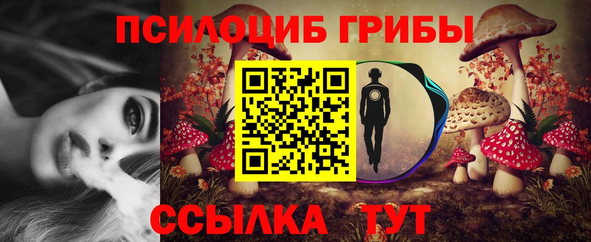 Галлюциногенные грибы MAGIC MUSHROOMS Елизово