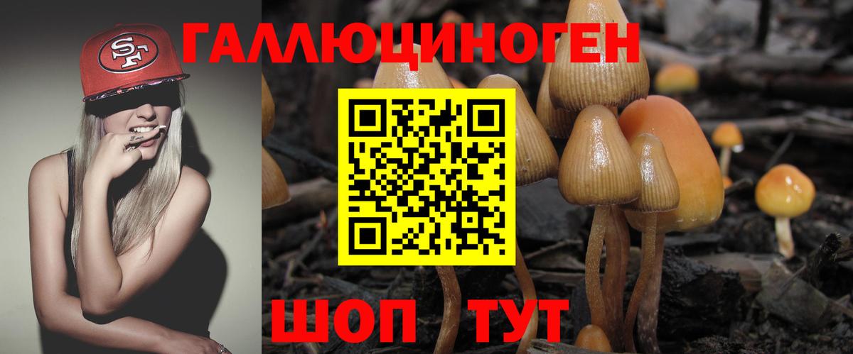 Галлюциногенные грибы GOLDEN TEACHER  Елизово 